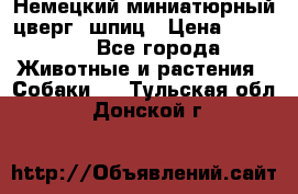 Немецкий миниатюрный(цверг) шпиц › Цена ­ 50 000 - Все города Животные и растения » Собаки   . Тульская обл.,Донской г.